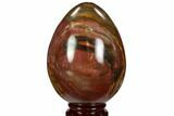Colorful, Polished Petrified Wood Egg - Triassic #107395-1